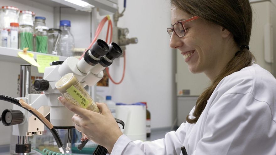 Anna Castells, experta en microbiota: los probióticos nos ayudarán a prevenir la depresión