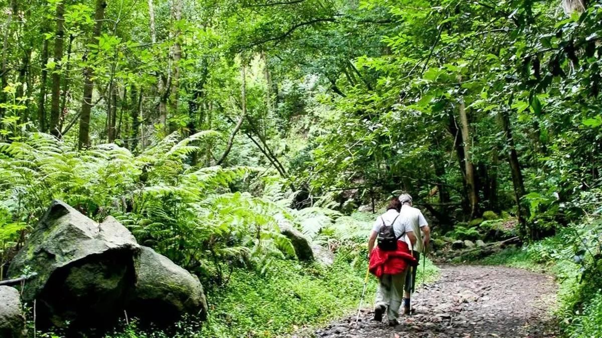 Imagen de archivo del sendero de Los Tilos.