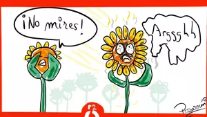 Ni los girasoles miran al sol