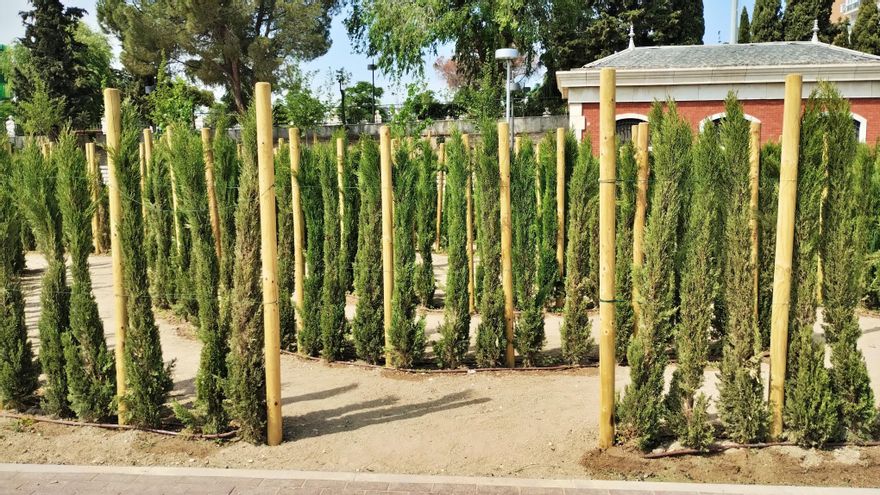 Entrada al laberinto del parque