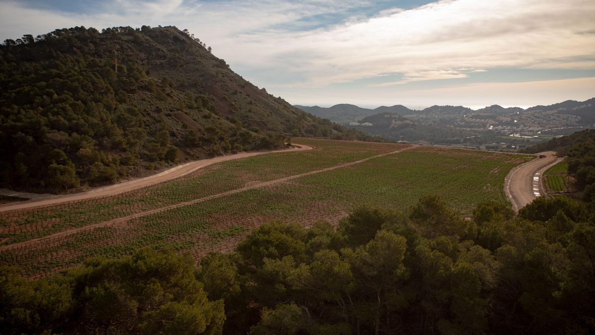 El Gobierno de Murcia duplicó el precio de la tierra vegetal contaminada con la que selló el depósito minero de El Lirio