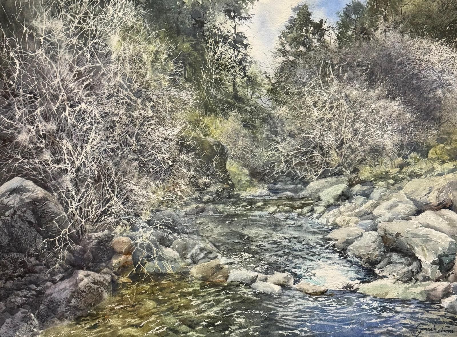 ‘Riachuelo’, título de la acuarela premiada.