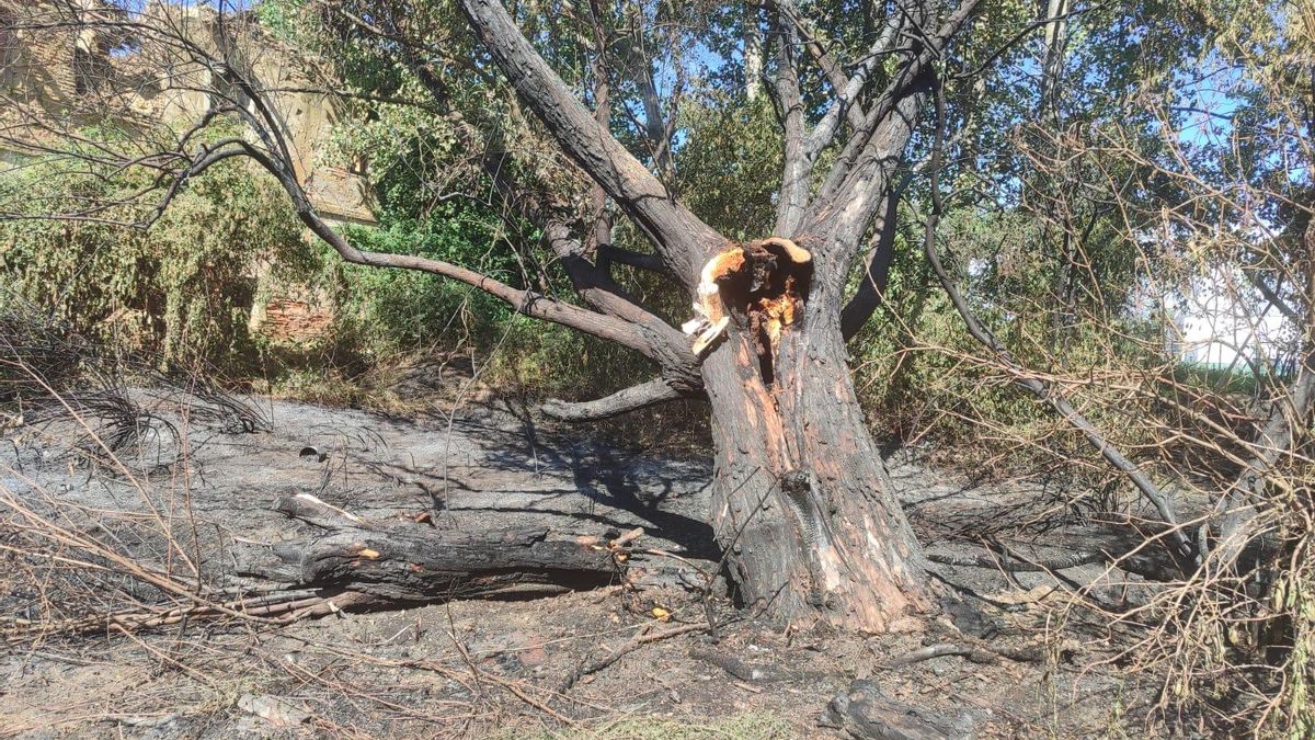 Identificados dos menores por provocar un incendio en San Andrés: el Ayuntamiento les reclamará el coste de apagarlo.