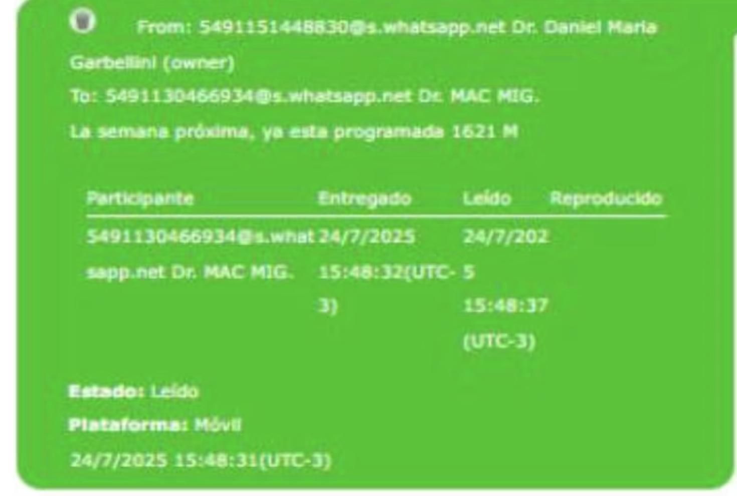 Los chats de Calvete con Gaerbellini, según el expediente de la fiscalía.