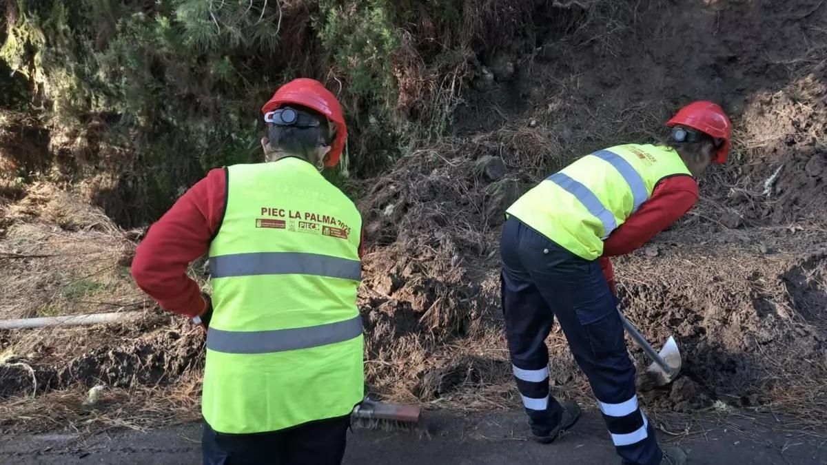 El paro  retrocede en La Palma un 1%  y afecta a 5.950 personas
