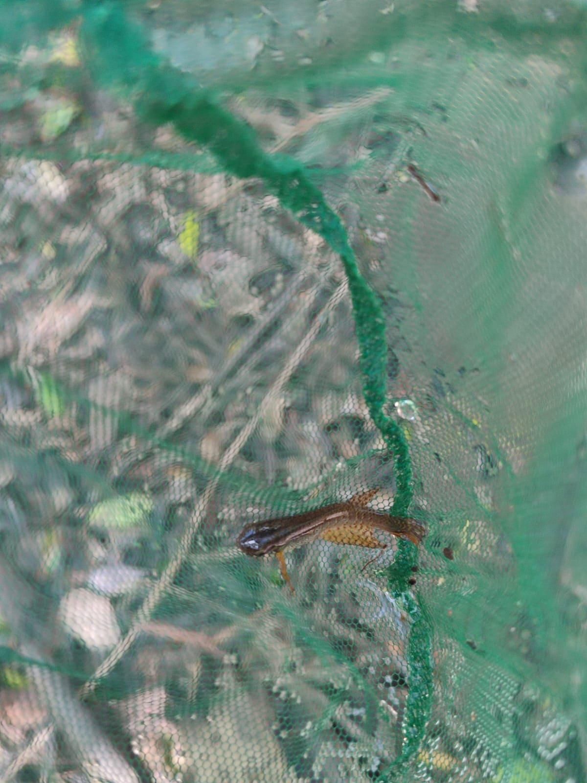 El descubrimiento del Moema claudiae. Foto: cortesía Heinz Arno Drawert