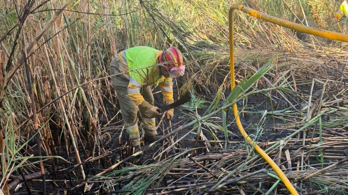 Extinguido un conato de incendio en la zona de El Atajo, en San Sebastián de La Gomera