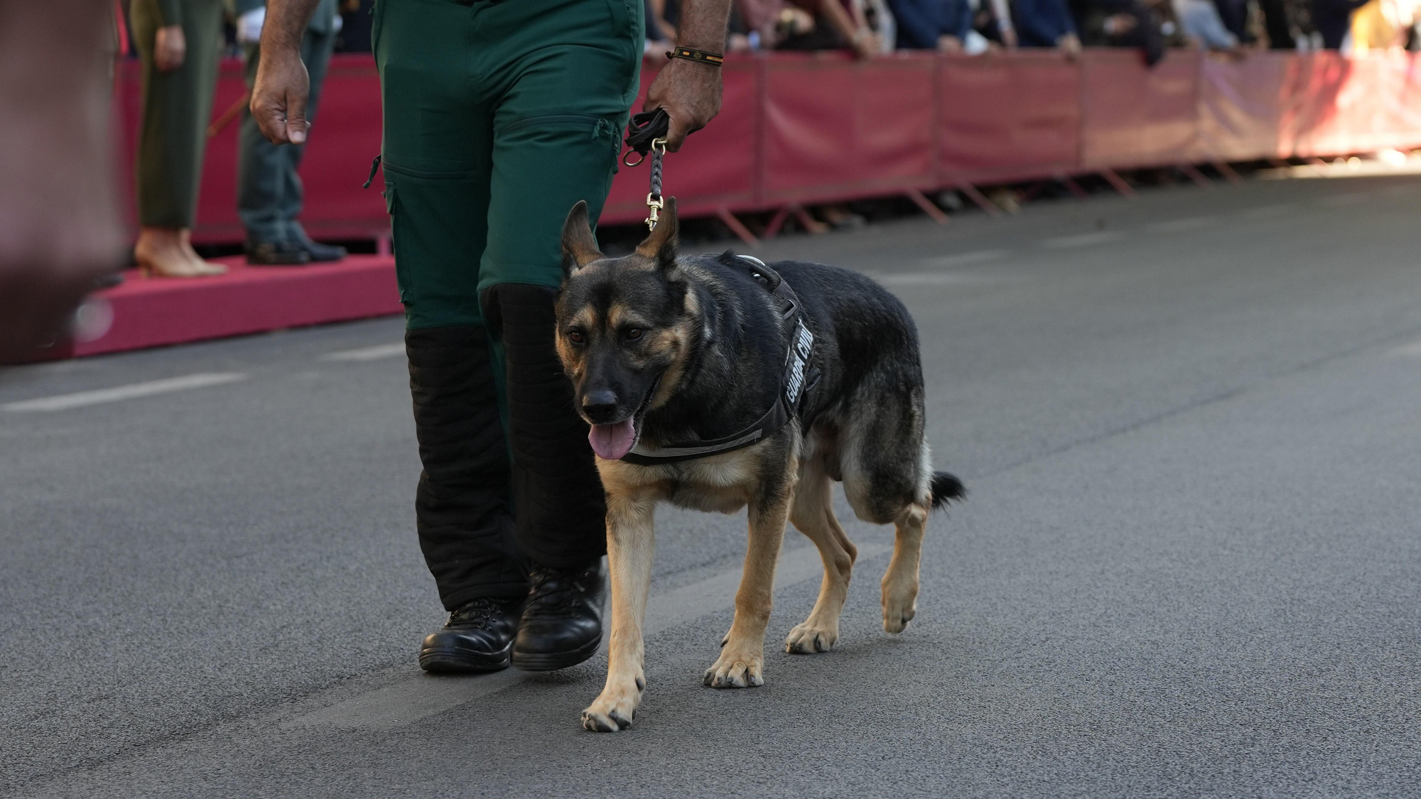 Día de la Patrona de la Guardia Civil