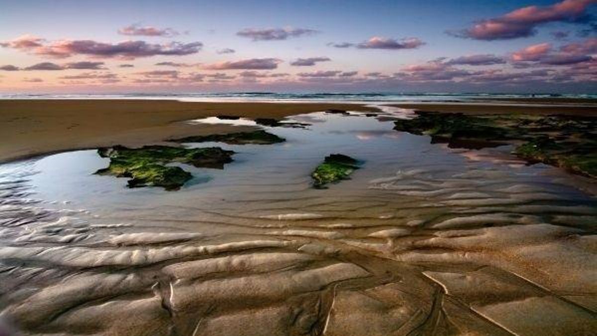 A información pública el anteproyecto de Ley de Declaración del Parque Natural de las Dunas de Liencres y Costa Quebrada