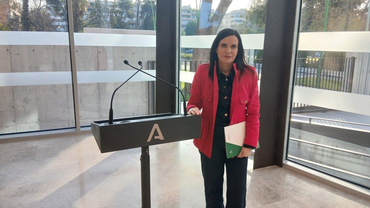 La Junta presenta el programa Alma Andalucía para la formación y prácticas de jóvenes vulnerables en la UE