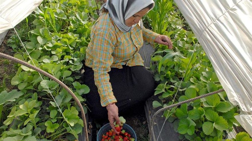 Profesores españoles evalúan las necesidades de la agricultura en el Líbano