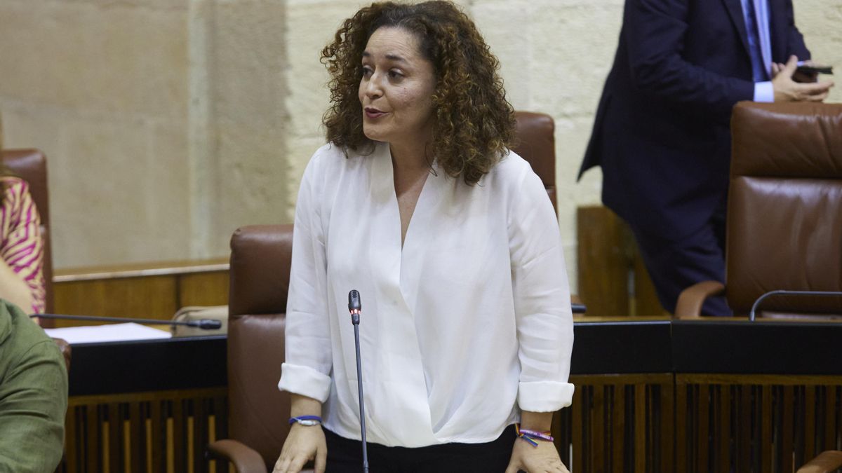 La portavoz parlamentaria de Por Andalucía, Inmaculada Nieto, en una imagen de archivo en su escaño.