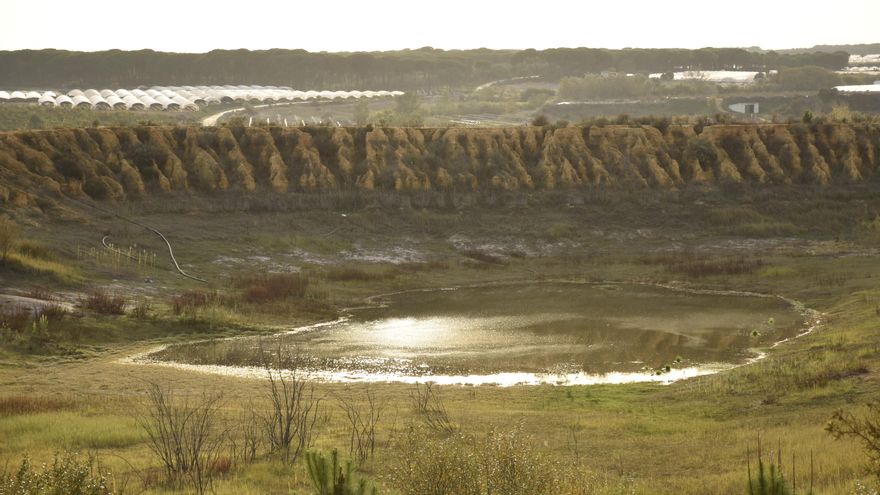 Esta balsa de riego que se usaba para los campos de fresa ha sido clausurada