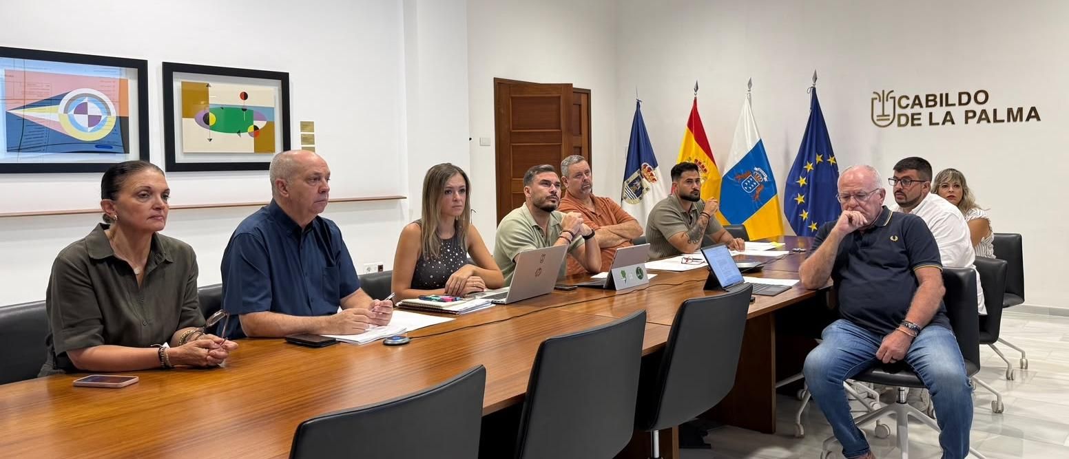 Junta General de la Sociedad de Promoción y Desarrollo Económico y Social de La Palma (Sodepal).