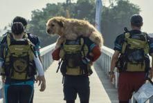 arthur_the_king_2024