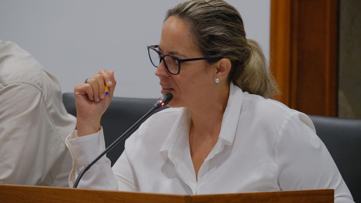 El PSOE insta al Cabildo a convocar “de una vez” las ayudas al transporte de los estudiantes de La Palma