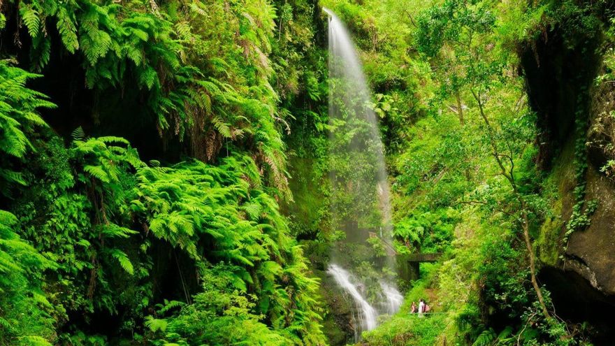 Entre cráteres y laurisilva: un viaje de contrastes por la isla de La Palma