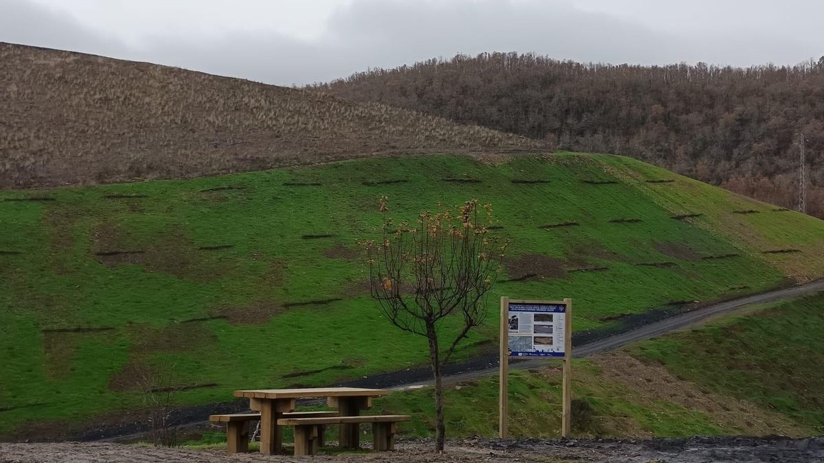 Concluye la inversión de 11,5 millones de euros para restaurar 90 hectáreas de viejas explotaciones de carbón de Torre y Villagatón