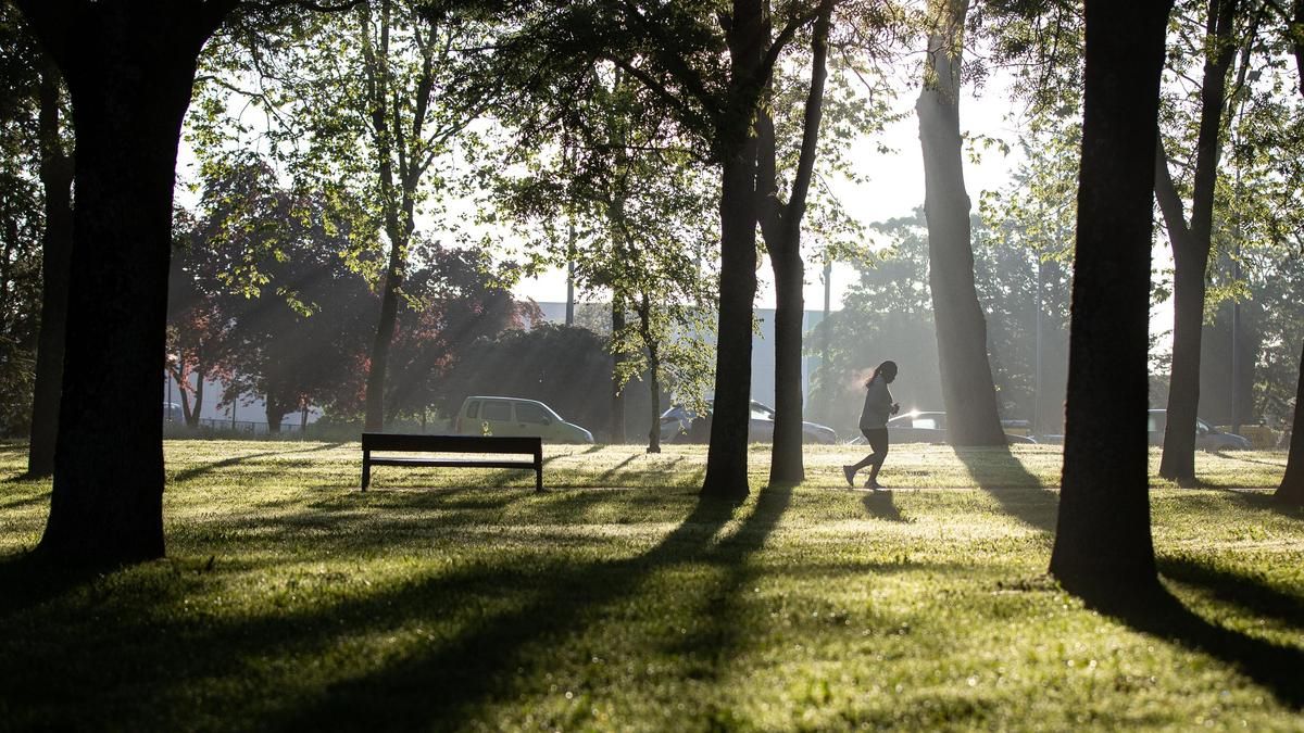 Euskadi sostiene que la vida saludable tiene cinco veces más impacto que el mejor sistema sanitario