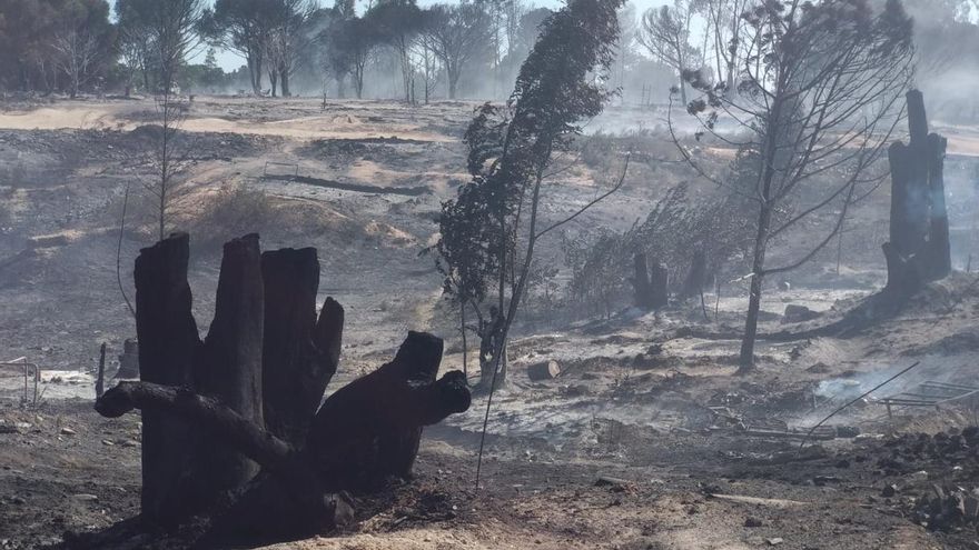 Un incendio en un asentamiento de Palos calcina 67 chabolas y provoca el desalojo de 200 personas