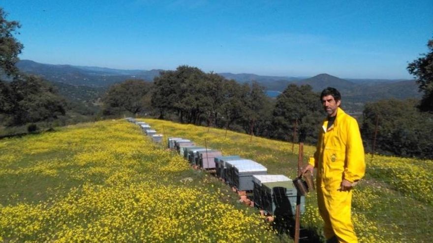 "Miel de verdad" en Sevilla: el preciado resultado de una vida entre colmenas