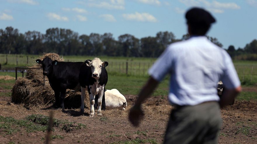 Emisiones de metano en ganadería: puede Argentina avanzar en la revolución verde en el campo