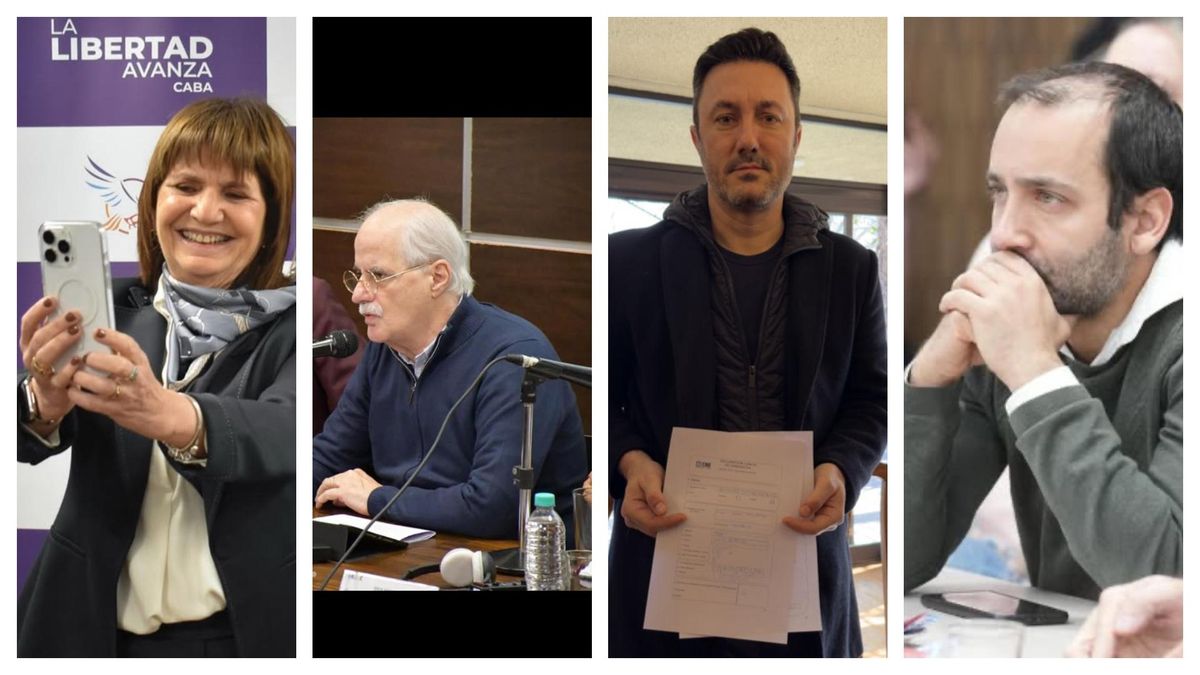 Patricia Bullrich, Jorge Taiana, Luis Petri e Itai Hagman, candidatos para octubre.