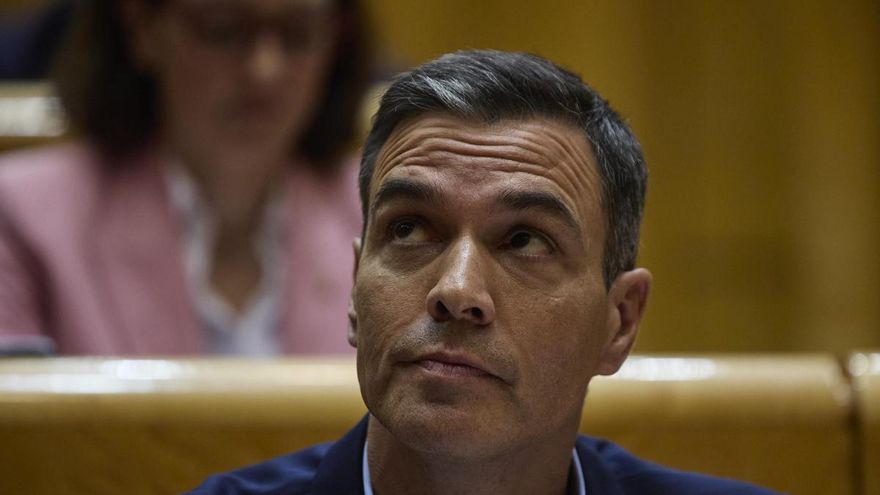 El presidente del Gobierno, Pedro Sánchez, en el Senado