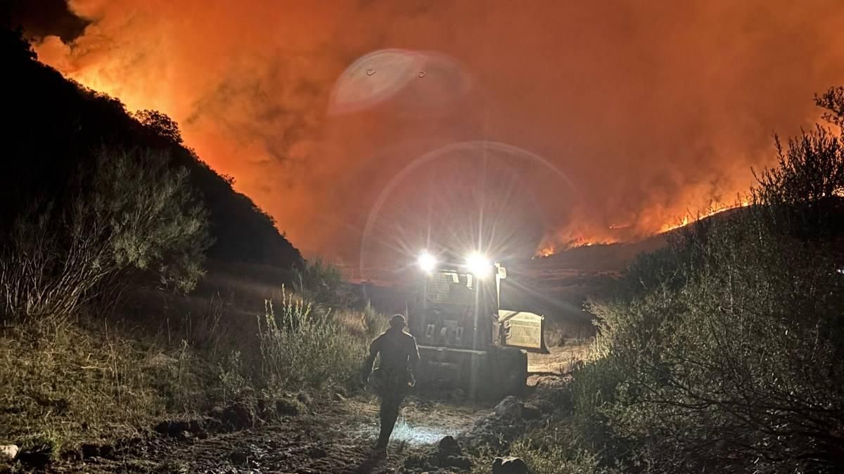 La Brigada Guzmán el Bueno X lucha contra el fuego en Castilla y León, en imágenes