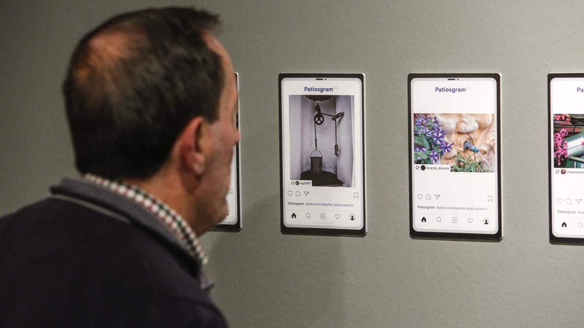 Inauguración de la exposición de Patiosgram25 en la Fundación Cajasol
