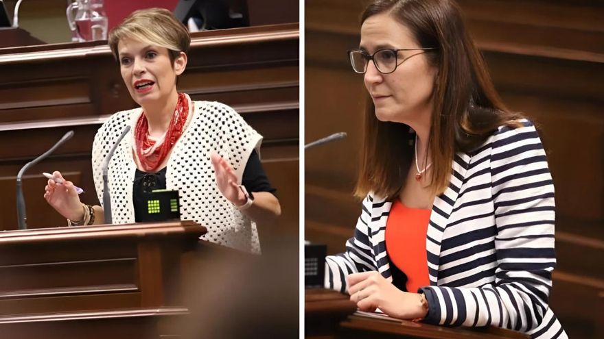 PSOE y Nueva Canarias acusan a CC-PP de "cacicada" por intentar sustituir la ayuda a domicilio por una prestación económica