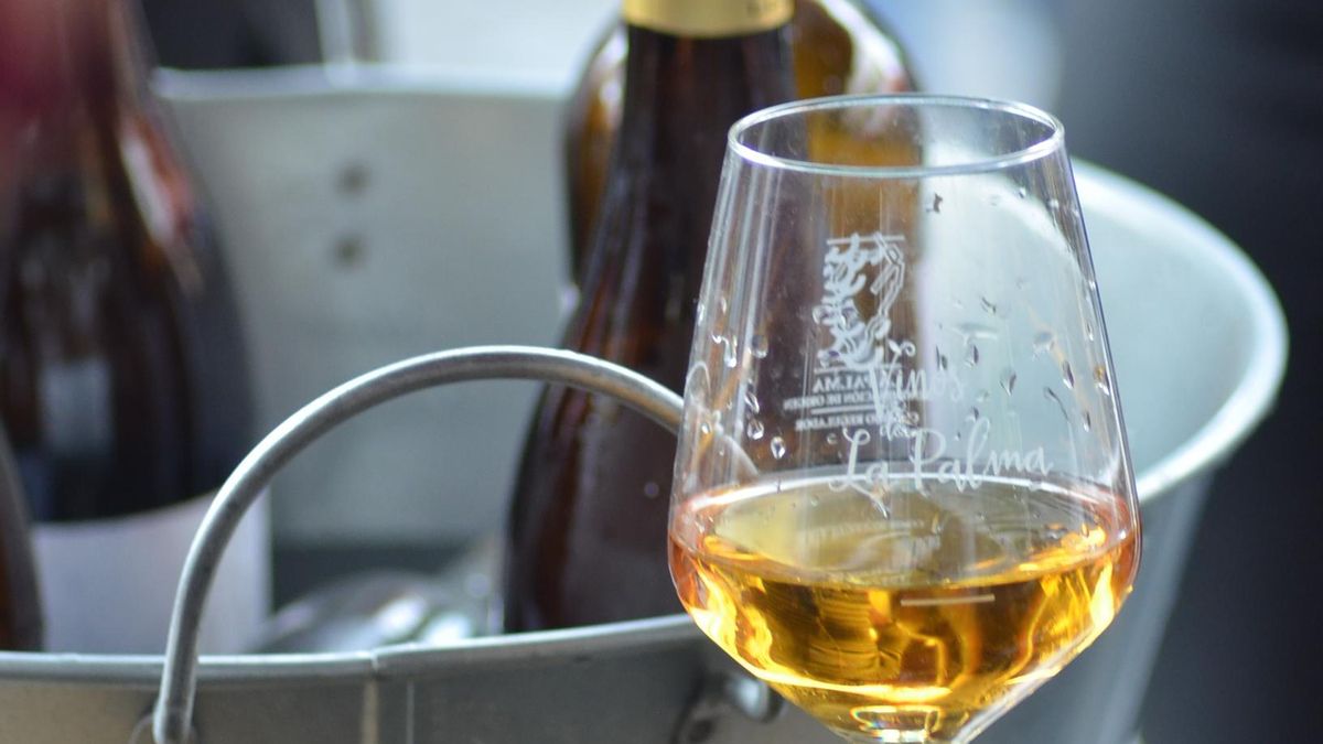 Vinos de La Palma con Denominación de Origen.