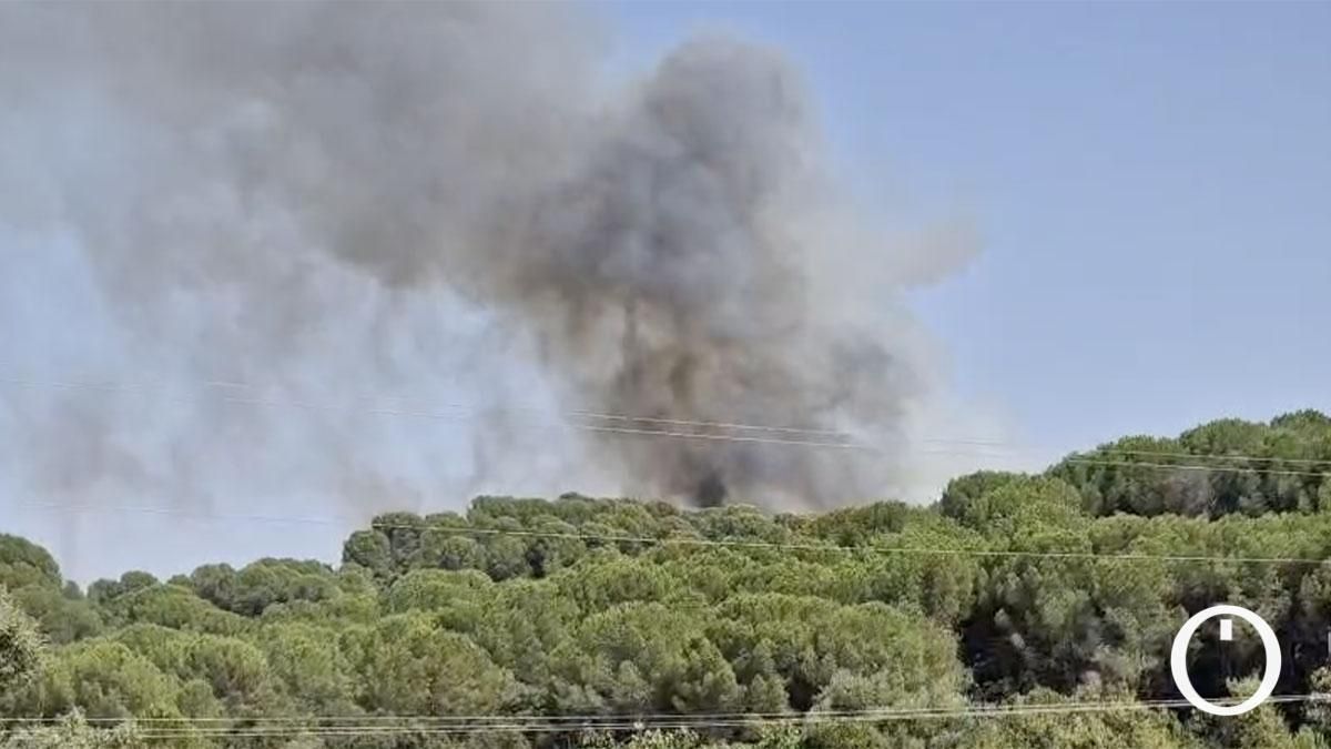 Incendio forestal en la Sierra de Córdoba