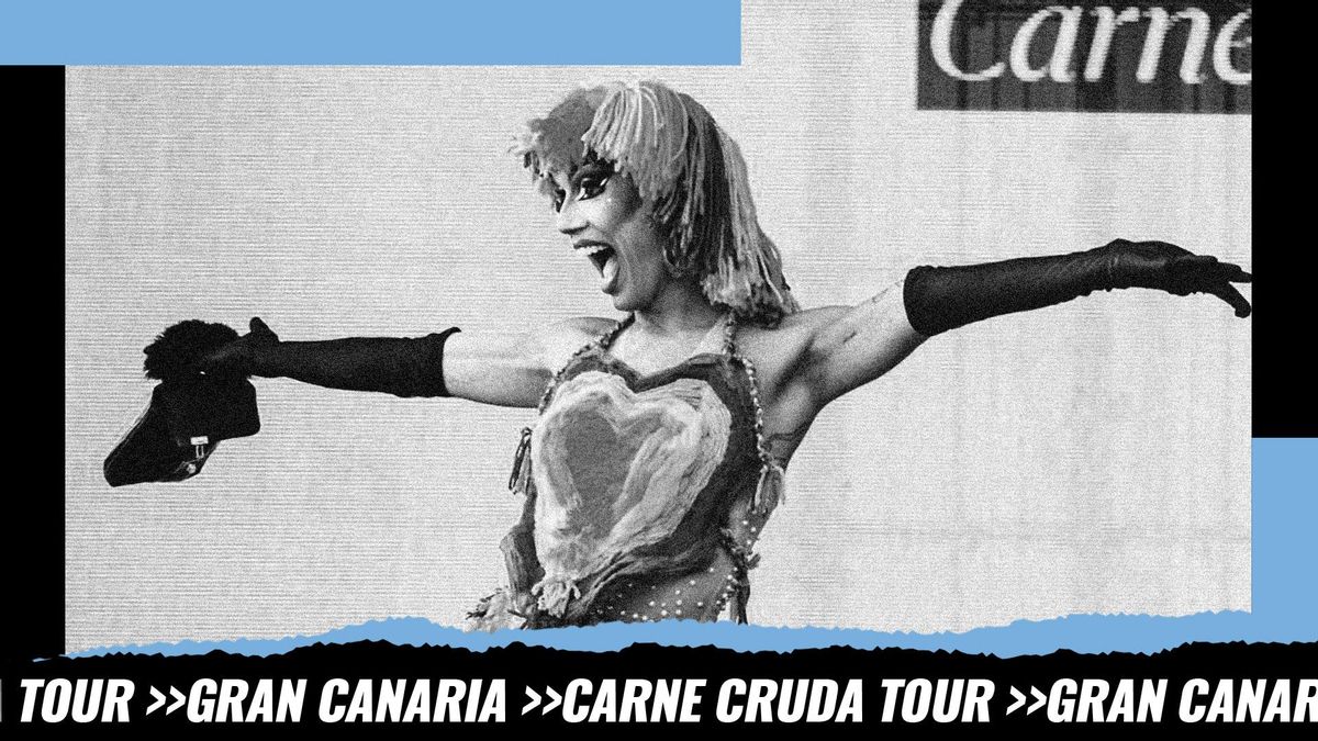 1538 GRAFICA sin logo