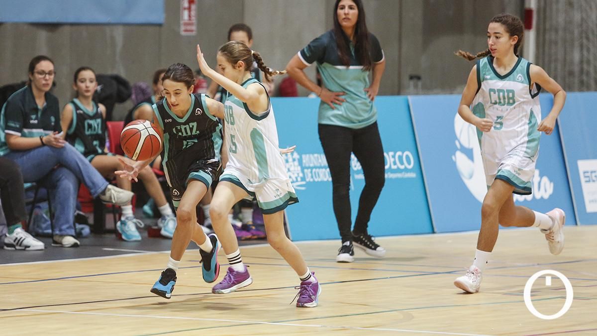 Finales del campeonato de andalucía de minibasket femenino
