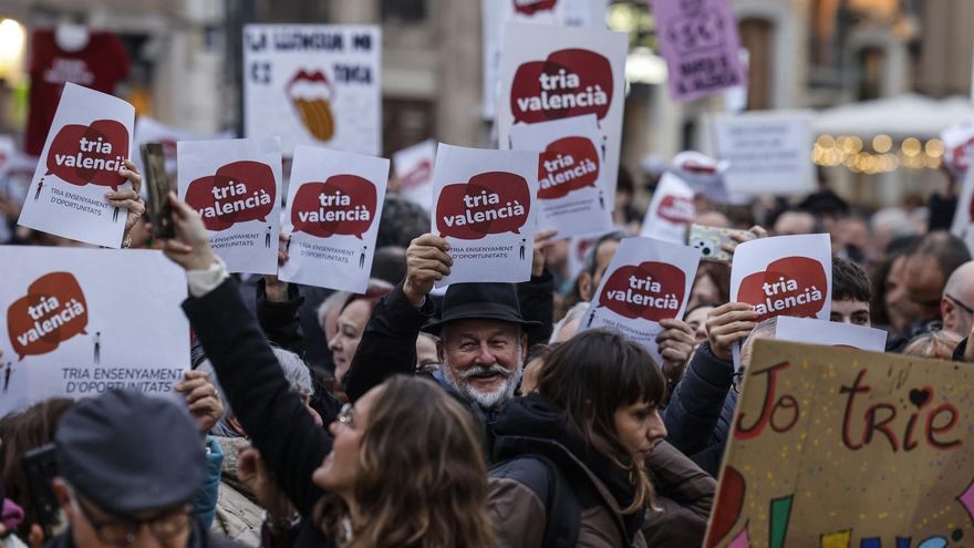 Famílies pel Valencià y STEPV denuncian que en zonas castellanohablantes "no se ha respetado" la consulta lingüística