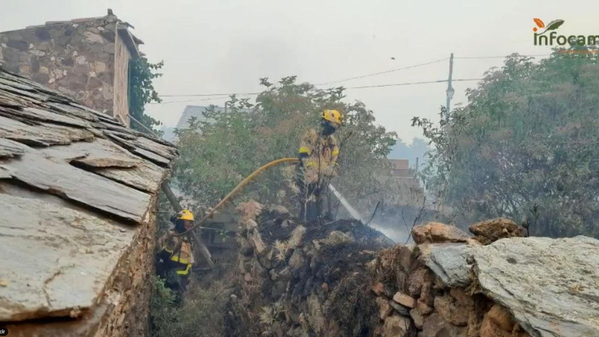 El Gobierno de Castilla-La Mancha estudia un plan de recuperación para los "que van a perderlo todo" por el incendio de La Mierla