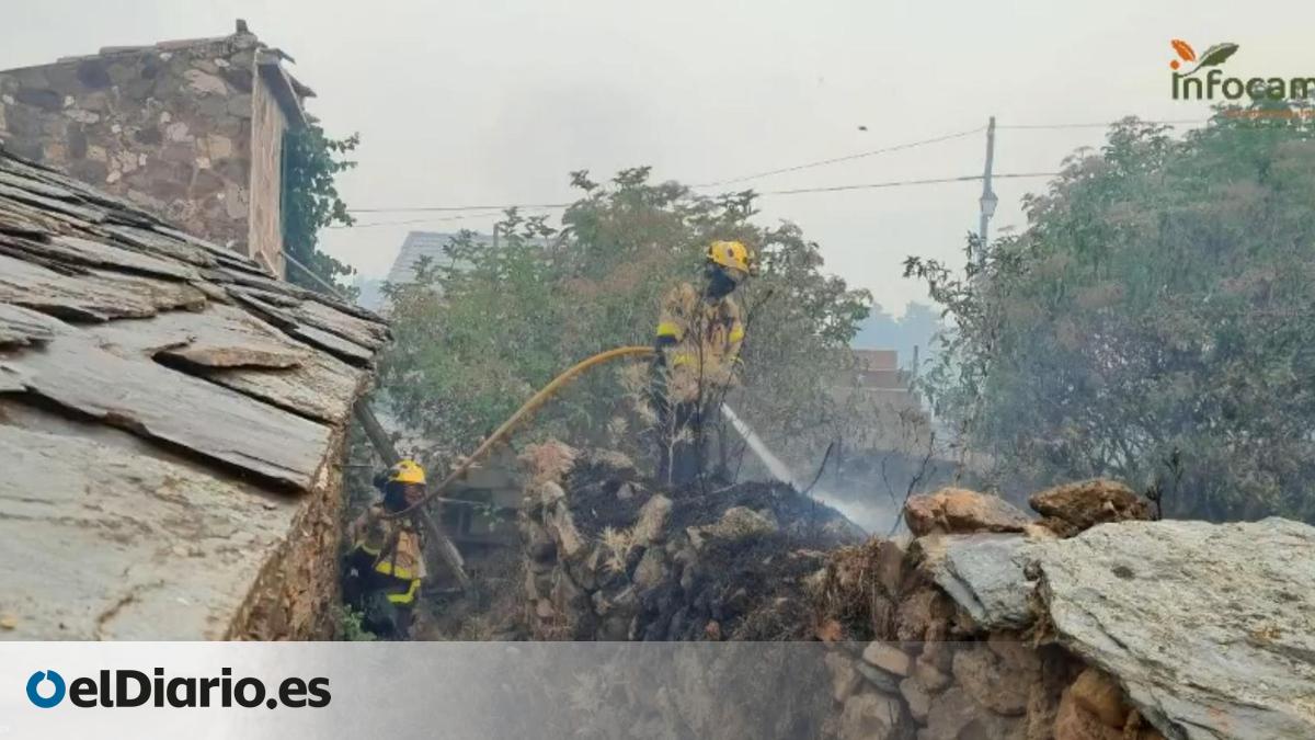 El Gobierno de Castilla-La Mancha estudia un plan de recuperación para los «que van a perderlo todo» por el incendio de La Mierla – elDiario.es