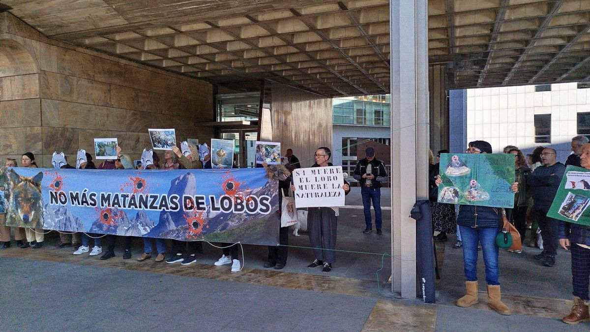 Concentración del Grupo Lobo Oviedo en la capital asturiana en contra de la matanza de lobos. 