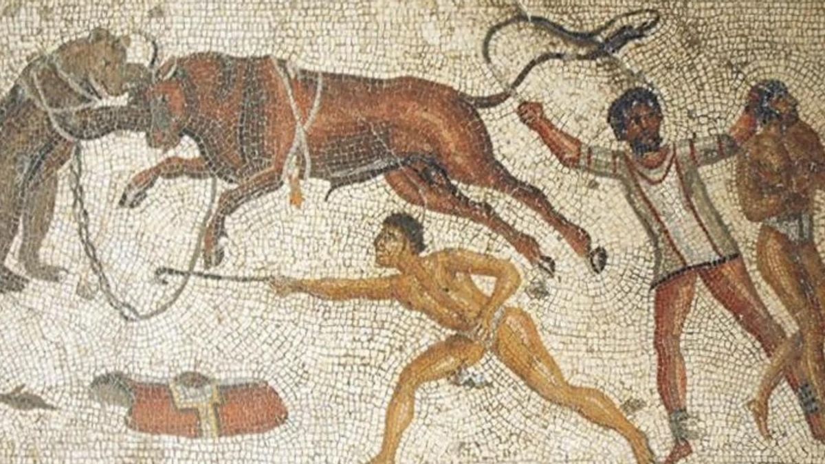 El análisis del cráneo llena un vacío histórico, ya que hasta ahora la presencia de osos pardos en los espectáculos solo se conocía por mosaicos o textos