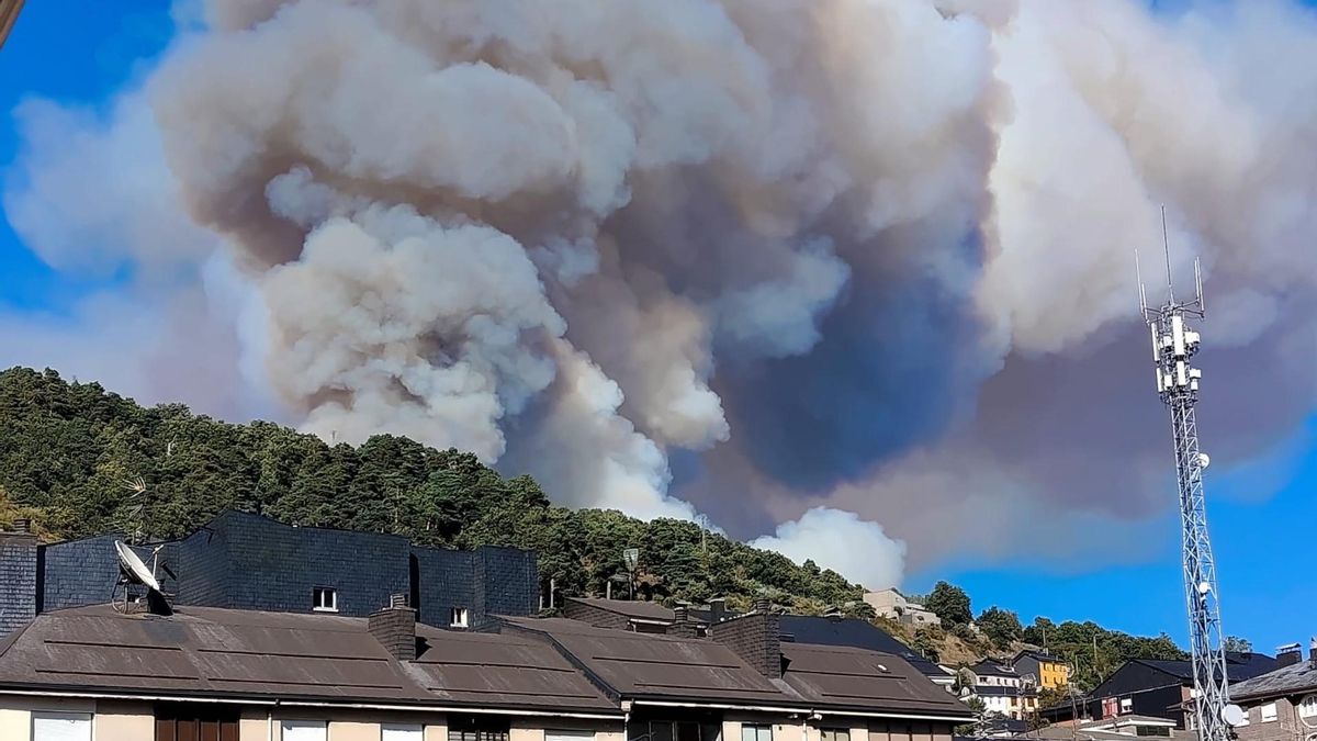 Urgencia de medios ante un importante incendio forestal declarado en Sosas de Laciana