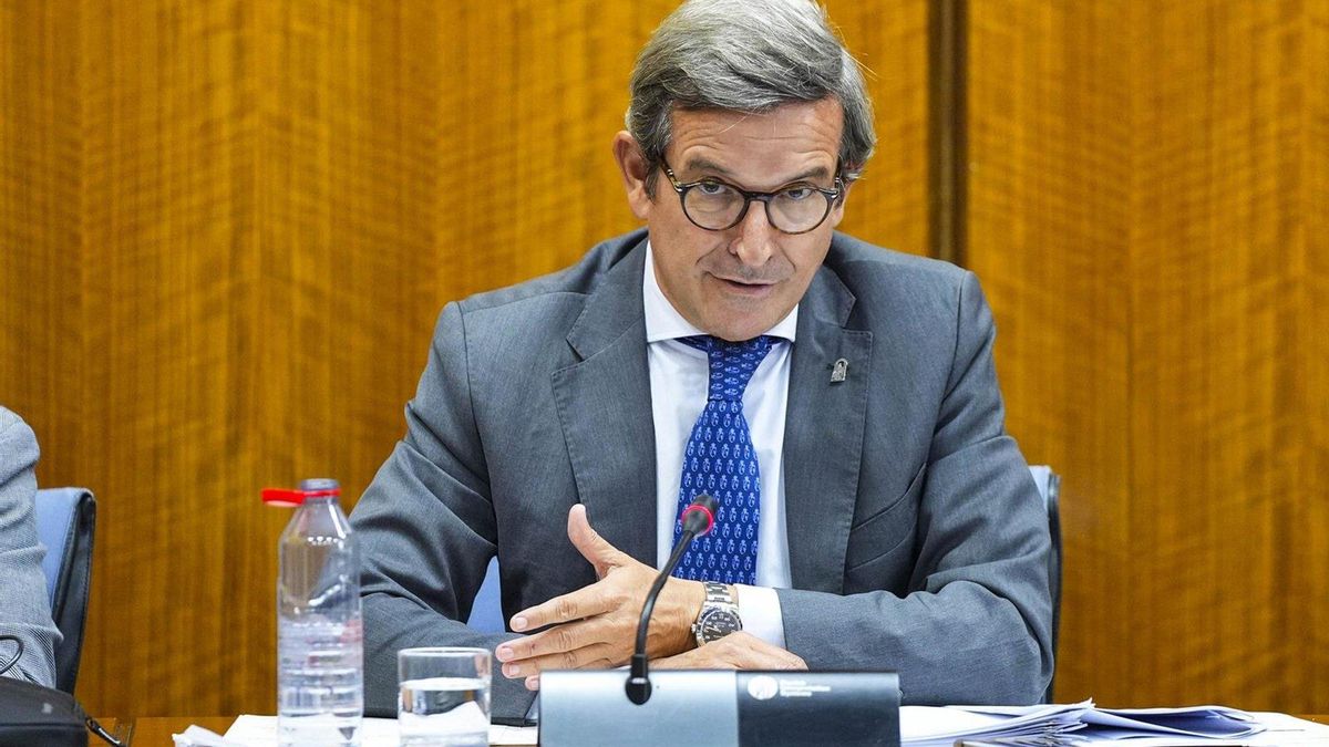 La Junta alegará para que el Gobierno incluya al Norte en el plan de inversiones de Red Eléctrica antes de 2030