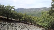 Foto: Valle de Alcudia y Sierra Madrona /Facebook