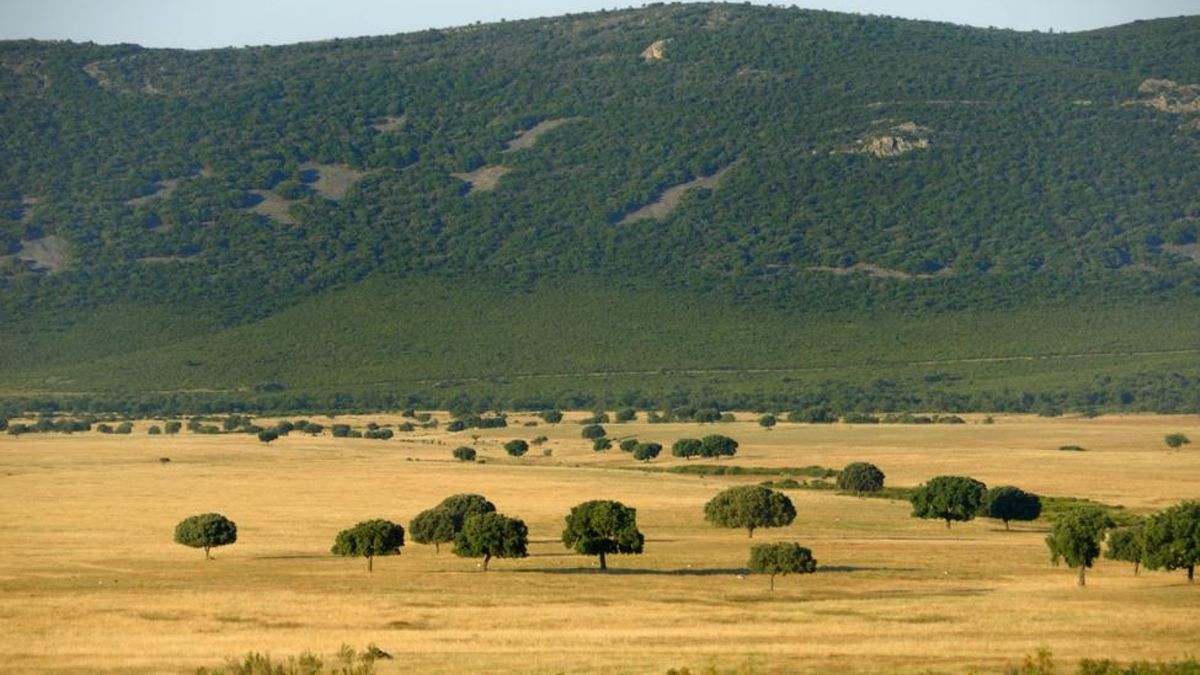 Cabañeros, tres décadas de un "tesoro natural" que ha contribuido al desarrollo rural