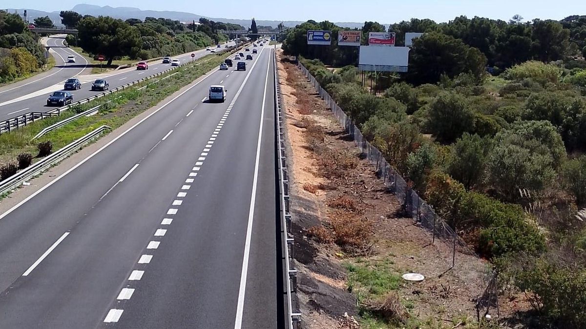 Consell de Mallorca i les navilieres signen el conveni per compartir dades sobre l'entrada de vehicles a l'illa