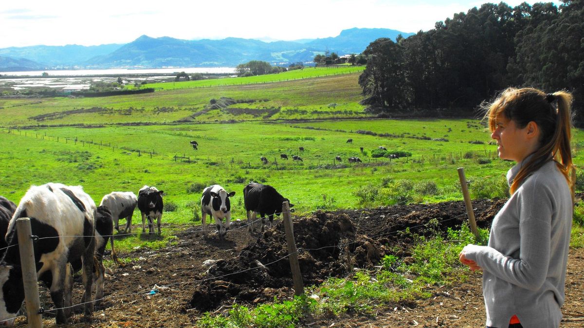 Una mujer en una explotación de vacuno de leche en la costa de Cantabria. | LUCÍA LÓPEZ