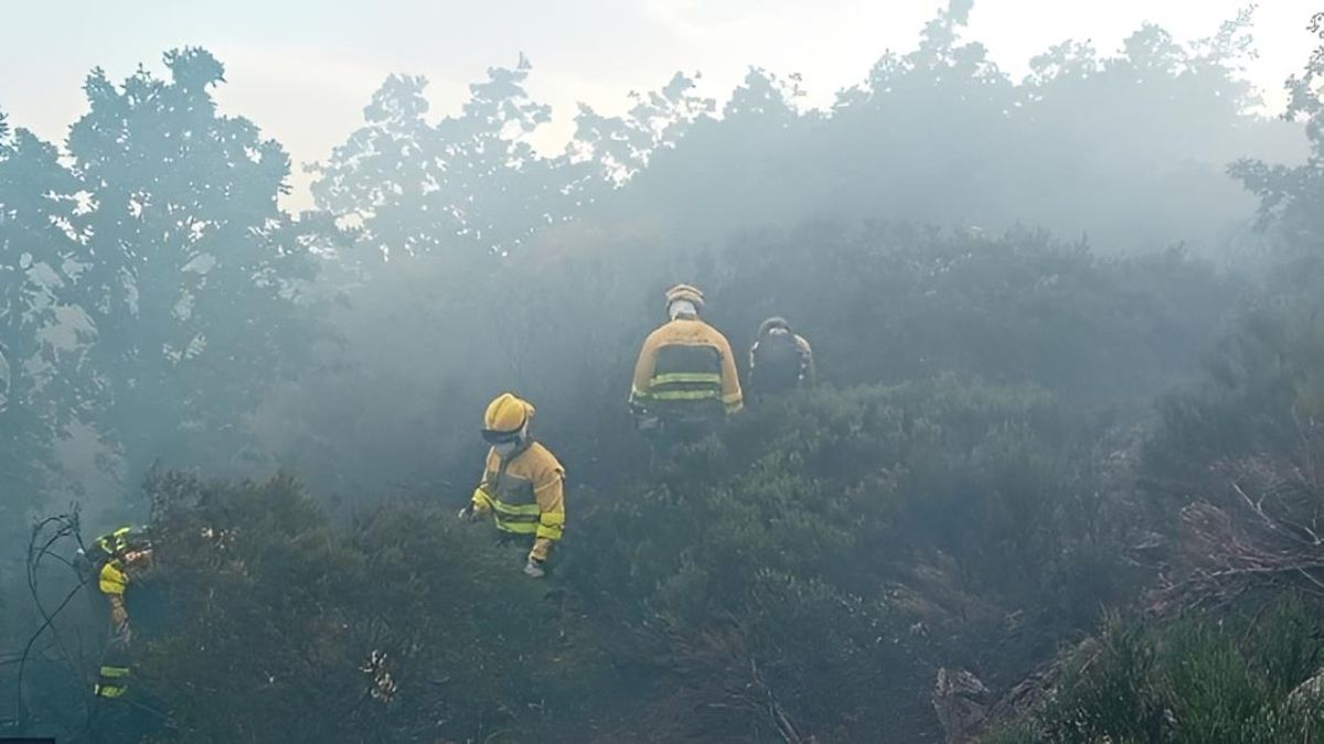 León suma este martes tres incendios activos en Poladura, Santa María de la Isla y Barrientos