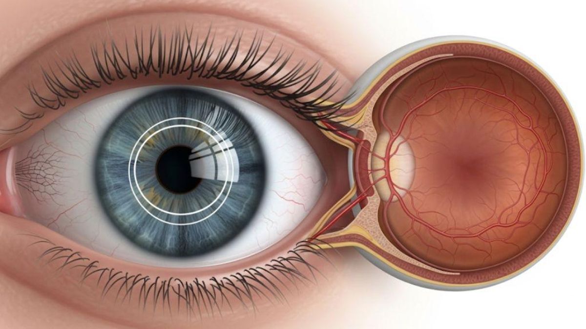 Día mundial del glaucoma: ¿por qué se celebra el 12 de marzo?