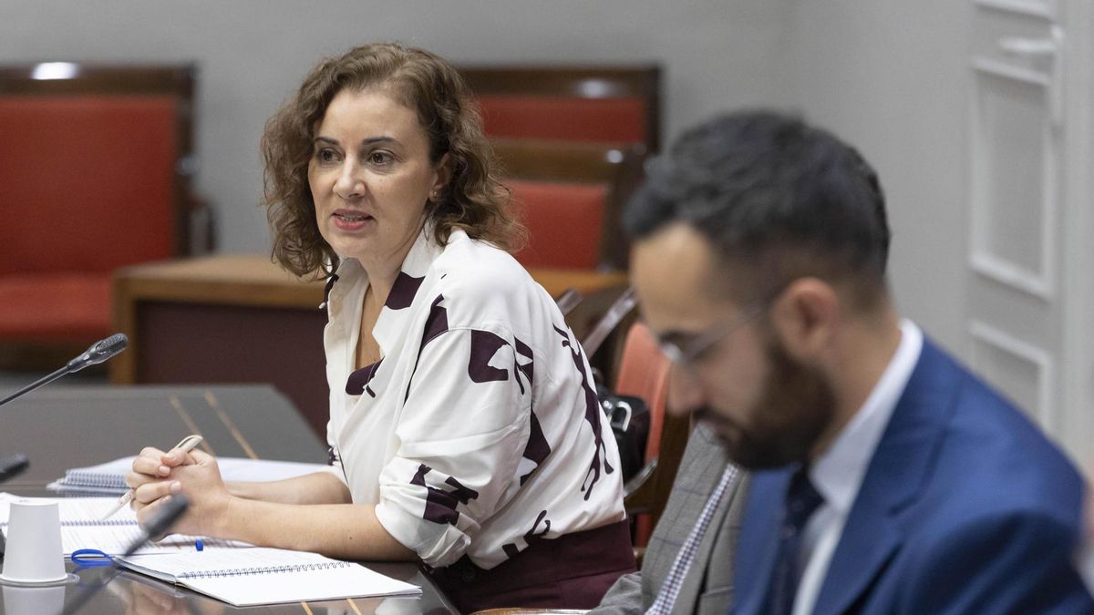 La exinterventora general de Canarias Natalia de Luis Yanes este lunes ante la comisión del Parlamento de Canarias en la que se analizan las responsabilidades políticas en la gestión del Servicio Canario de la Salud en la contratación de material sanitario para hacer frente a la COVID.