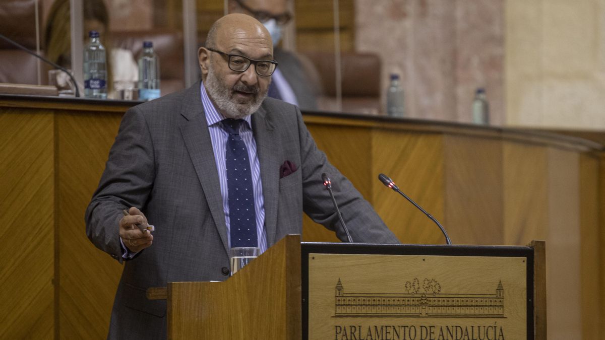 El portavoz del grupo parlamentario Vox, Alejandro Hernández
